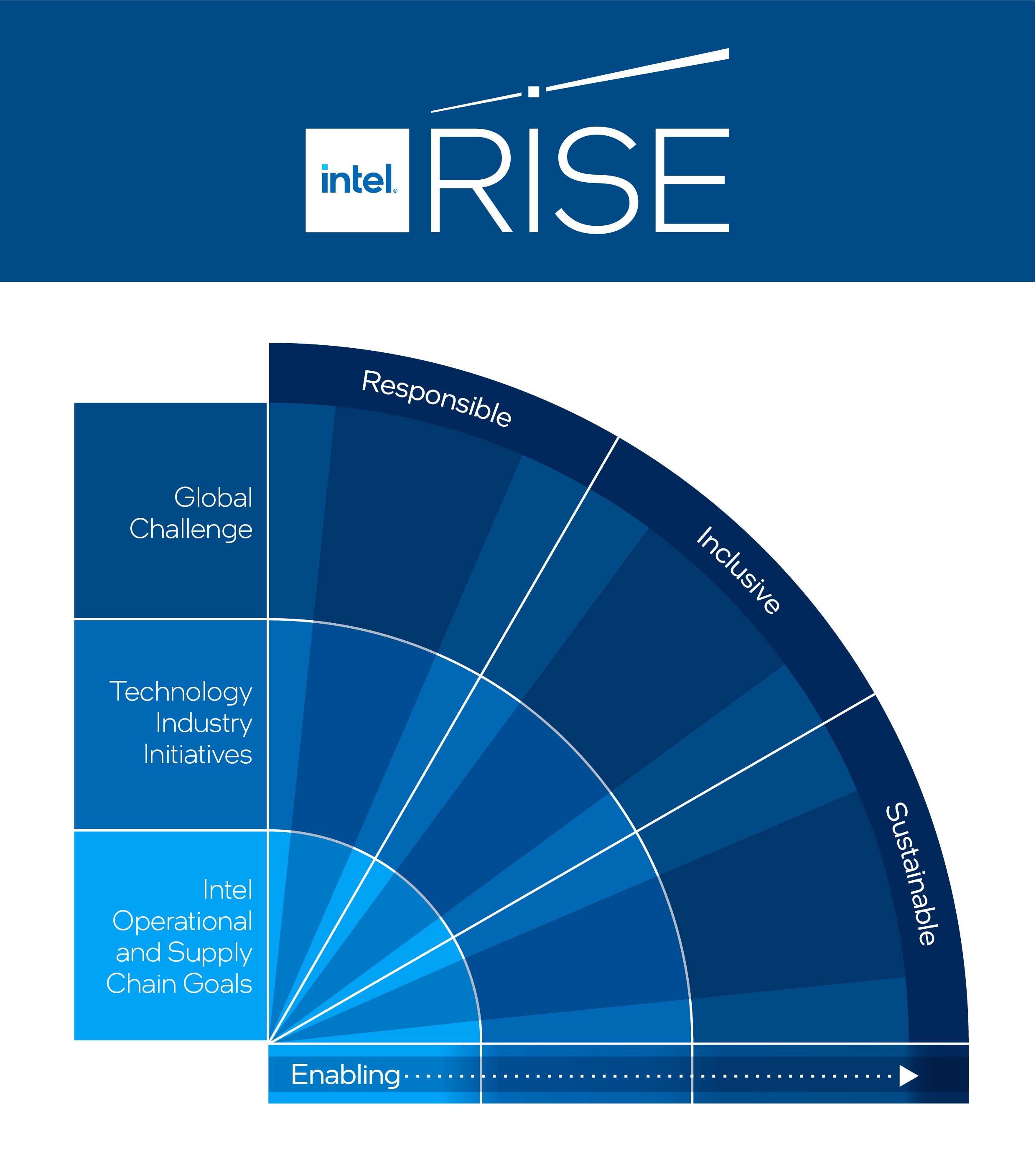 rise-graphic-by-segment_full